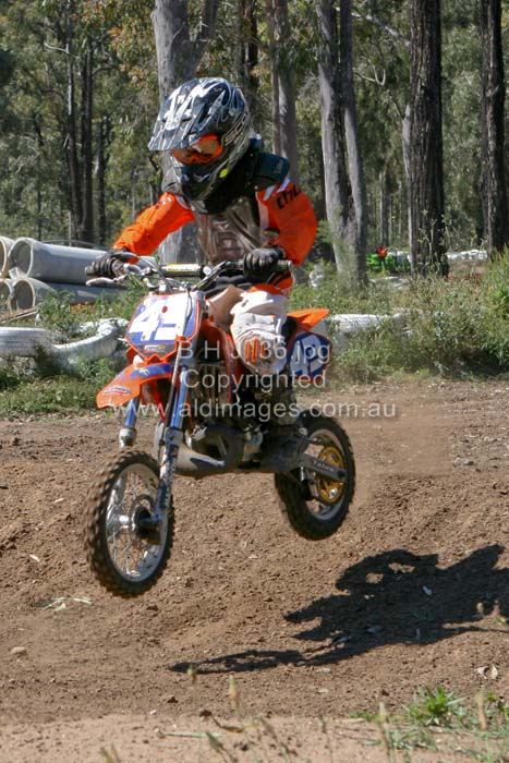 445x677 pixels (91K)